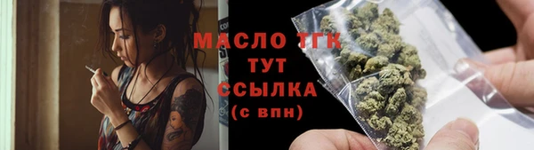 гидра Володарск