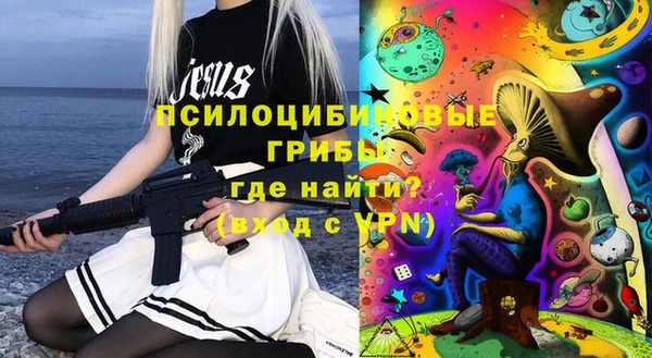 дживик Верея