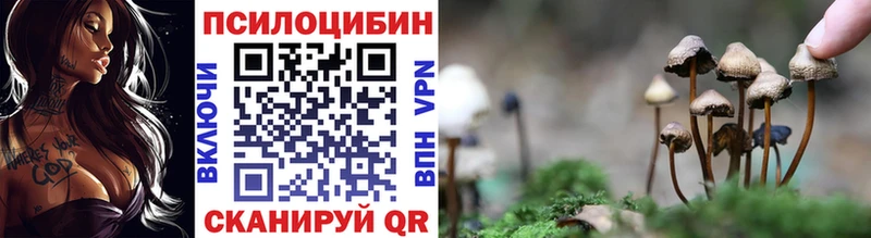 Купить  Курлово  Псилоцибиновые грибы GOLDEN TEACHER 